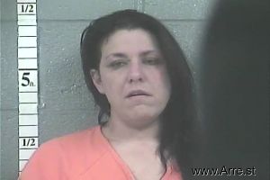 Amanda Perkins Arrest Mugshot