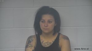 Amanda Wigge Arrest Mugshot