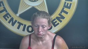 Amanda Wilson Arrest Mugshot