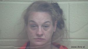 Amanda  Wilson  Arrest Mugshot