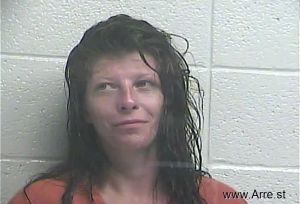 Amber Stout Arrest