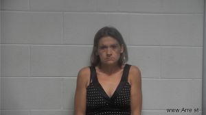 Amy Johnston Arrest Mugshot