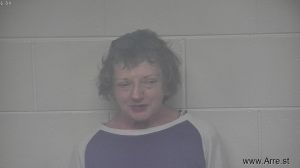 Amy  Martin  Arrest Mugshot