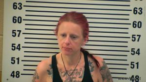 Amy Vanmeter Arrest