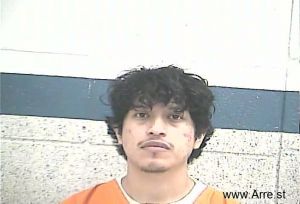 Andres Felipe-domingo Arrest Mugshot