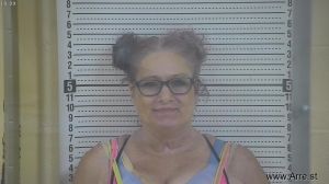 Anita Stone Arrest Mugshot