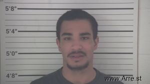 Anthony Shelton Arrest Mugshot