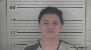 Aristides Junior Gonzalez-ramirez Arrest Mugshot