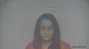 Ashley Lingenfelter Arrest Mugshot