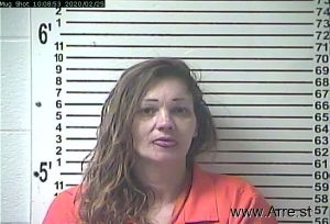 Ashley Shepherd Arrest