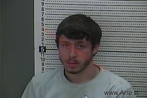 Austin Brown Arrest Mugshot