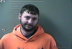 Austin Harless Arrest Mugshot