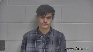 Austin Riley Arrest Mugshot