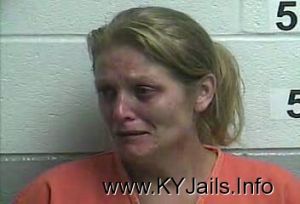 Alisha Marie Mcelfresh  Arrest