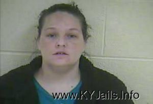 Amy Lynn Lambert  Arrest