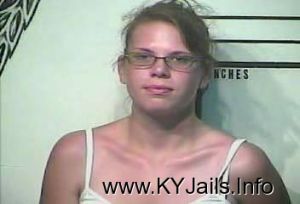 Amy Michelle Henson  Arrest Mugshot
