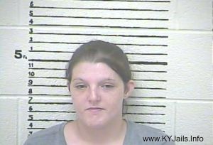 Angela M Hibbard  Arrest