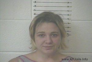 Angela N Siliznoff  Arrest Mugshot