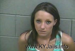 Ashley Ann Lee  Arrest Mugshot