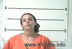 Ashley J Visconti   Arrest