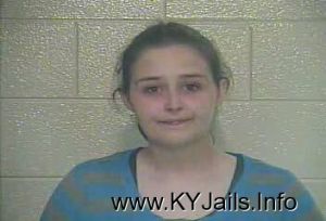 Ashley Nicole Bradley  Arrest Mugshot
