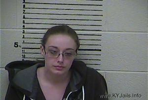 Ashley Nicole Holland  Arrest Mugshot