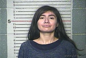 Bahareh Amricachi Arrest Mugshot