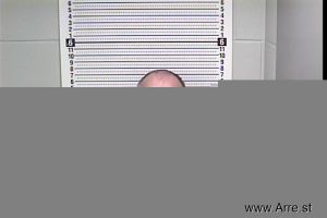 Bobby Waddell Arrest Mugshot