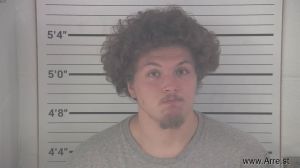 Brandon Miller Arrest Mugshot