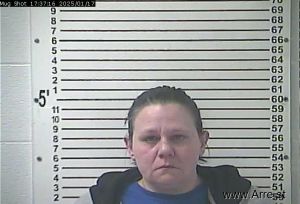 Brandy Lee Arrest Mugshot