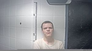 Brayden Mullins Arrest Mugshot