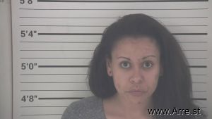 Brianna Pohlgeers Arrest Mugshot