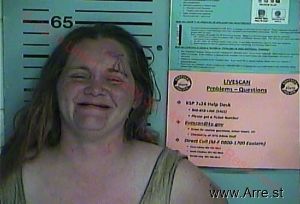 Bridget Villnuve Arrest Mugshot