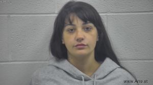 Brie Domers Arrest Mugshot