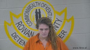 Brittany Blevins Arrest Mugshot