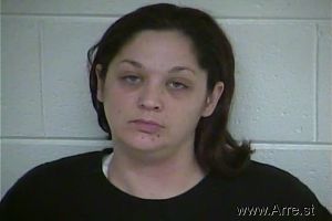 Brittany  Wren Arrest Mugshot