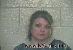 Bobbie Lynn Wells  Arrest Mugshot