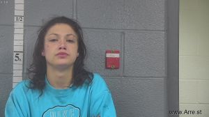 Caitlyn Chandler Arrest Mugshot