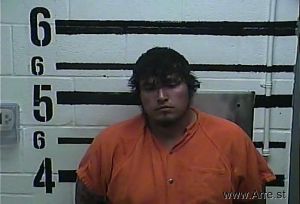 Caleb White Arrest Mugshot