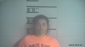 Christina Anderson Arrest Mugshot