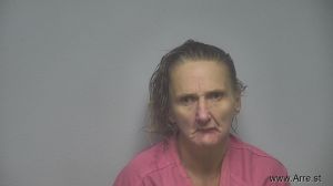 Cindy  Warner Arrest Mugshot