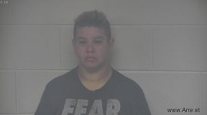 Courtney Boyajian Arrest Mugshot