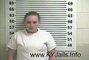 Carrie L Mitchell  Arrest Mugshot