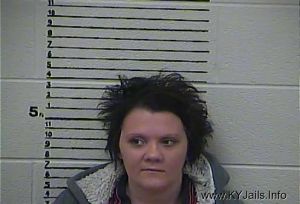 Chasity Ann Murphy  Arrest Mugshot