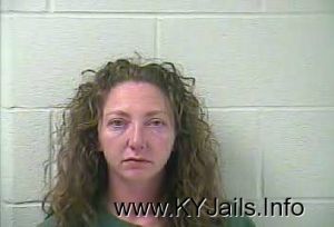 Cher Anne Mccubbins  Arrest