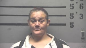 Cheryl Brewer Arrest Mugshot