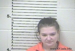 Crystal L Edwards  Arrest