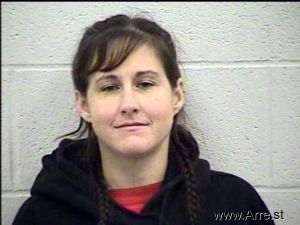 Danielle Hisle Arrest Mugshot