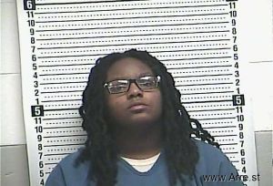 Dyanna Palmer Arrest Mugshot