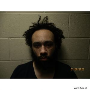 Dillon Damon Arrest Mugshot